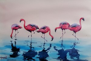 Flamencos rosas vadeando de Giorgio Gosti