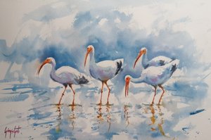 Reflejos del ibis blanco de Giorgio Gosti