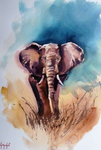 Elefante africano salvaje de Giorgio Gosti