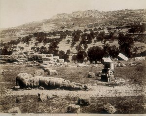 Agrigento: una vista de las ruinas del Templo de Júpiter de Giorgio Sommer