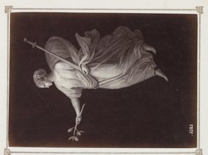 Reproducción fotográfica de (presumiblemente) un grabado, en el que aparece una figura femenina con una rama y una espada en la mano