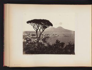Vista de Nápoles, Italia, con un pino en primer plano Panorama valle Vomero Napoli (título sobre objeto) de Giorgio Sommer