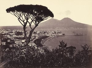 Panorama del Vomero con pino de Giorgio Sommer