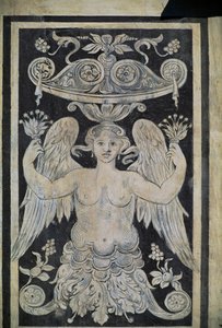 Figura alegórica, por Giorgio Vasari, Tommaso Battista del Verrocchio y Alessandro Forzori, Palazzo dei Cavalieri o Palazzo della Carovana, Piazza dei Cavalieri, Pisa, Toscana, Italia de Giorgio Vasari