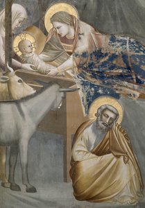 La Natividad, detalle de la Virgen y el Niño, el burro y José, 1303-05 (post restauración) de Giotto di Bondone