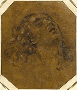 Cabeza femenina de Giovan Gioseffo dal Sole