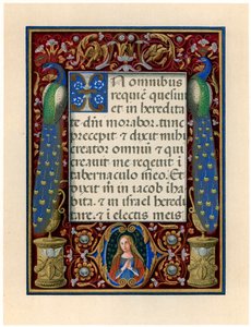Página de texto con la Virgen y dos pavos reales, c. 1490 de Giovan Pietro Birago