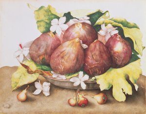 Higos en hojas de Giovanna Garzoni
