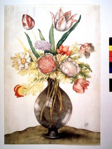 Amapolas, tulipanes y peonía de Giovanna Garzoni