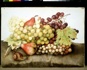 Imagen desconocida de Giovanna Garzoni