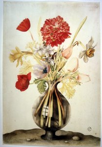 Imagen desconocida de Giovanna Garzoni