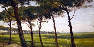 Una Línea de Viejos Pinos
