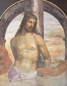 Cristo en la columna de Giovanni Antonio Bazzi Sodoma