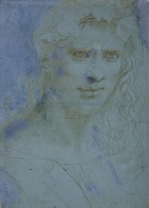 Busto de joven coronado con espinas y brotes de vid, c. 1495 de Giovanni Antonio Boltraffio