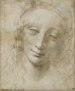 Cabeza de una mujer de Giovanni Antonio Boltraffio