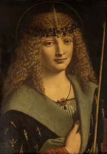 Retrato de un niño como San Sebastián

"

" de Giovanni Antonio Boltraffio