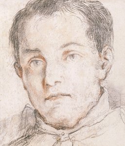 Retrato de un joven de Giovanni Antonio Burrini or Burino