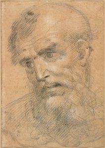 Cabeza de hombre barbudo (anverso); Estudio para una sacra conversazione (reverso)