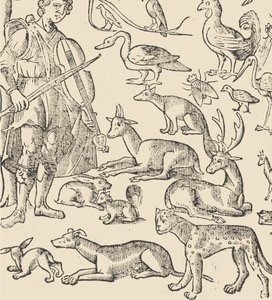 Essempio di recammi, página 12 verso, 1530