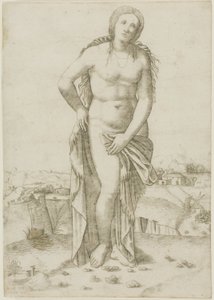 Venus de Giovanni Antonio da Brescia