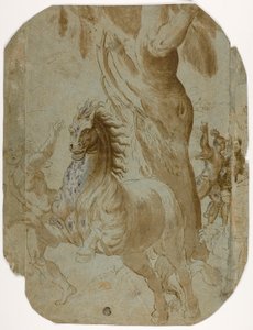 Conversión de San Pablo (recto); Hombre visto desde atrás (verso) de Giovanni Antonio da Pordenone