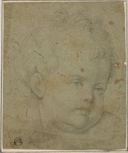 Cabeza de niño de Giovanni Battista Caracciolo