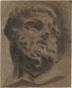 Cabeza Barbuda después del Antiguo de Giovanni Battista Cipriani