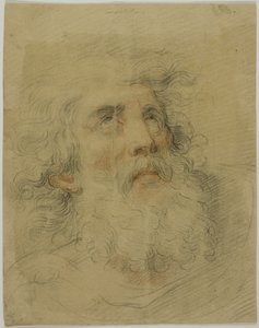 Cabeza del Rey Lear