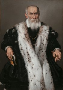 Retrato de Gian Girolamo Albani 1504-1591, 1573 de Giovanni Battista Moroni