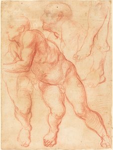 Estudios de un Desnudo Masculino de Giovanni Battista Naldini