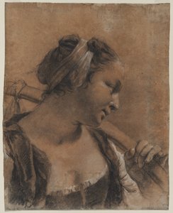 Retrato de Rosa con un palo en el hombro de Giovanni Battista Piazzetta