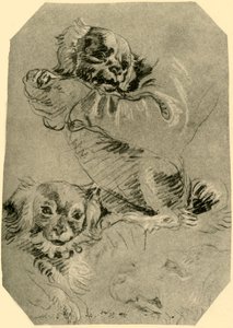 Perros de Bolonia de Giovanni Battista Tiepolo