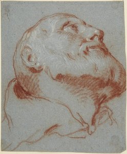Cabeza de un hombre barbudo, vista desde abajo y mirando hacia arriba de Giovanni Battista Tiepolo