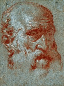 Cabeza de un patricio veneciano, tres cuartos de cara de Giovanni Battista Tiepolo