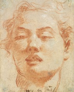 Cabeza de un joven de Giovanni Battista Tiepolo