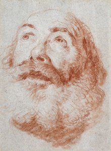 Cabeza de un anciano mirando hacia arriba de Giovanni Battista Tiepolo