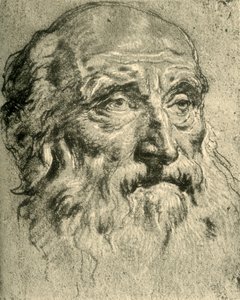 Cabeza de un Hombre Viejo, mediados del siglo XVIII de Giovanni Battista Tiepolo