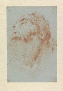 Cabeza de un anciano