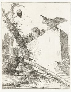 Impresión de título para Scherzi di fantasia con búhos cerca de una piedra Scherzi di fantasia (título de la serie) de Giovanni Battista Tiepolo