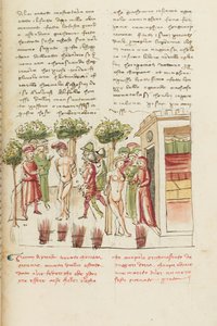 Decamerón, El joven cautivo - Restituta Bolgaro y Giari di Procida en la picota , Quinto día, relato 6. de Giovanni Boccaccio