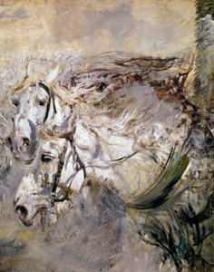 Dos caballos blancos de Giovanni Boldini