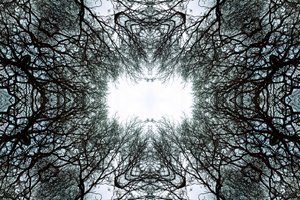 Unnatural 101 de Giovanni Cafagna