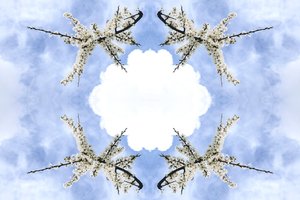 Unnatural 115 de Giovanni Cafagna