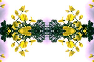 Unnatural 151.2 de Giovanni Cafagna