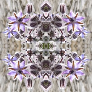 Unnatural 159 de Giovanni Cafagna