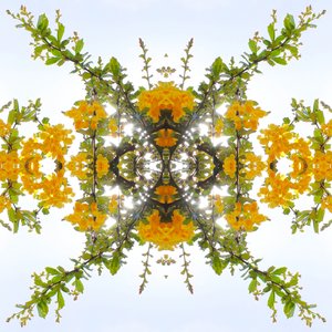 Unnatural 175 de Giovanni Cafagna