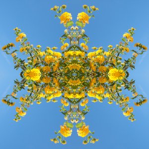 Unnatural 193 de Giovanni Cafagna