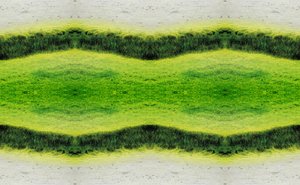 Antinatural 2.1 de Giovanni Cafagna
