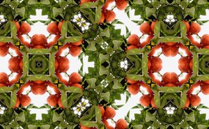 Antinatural 77
