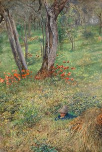 Un escondite en el bosque